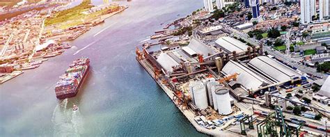 cif insurance  buyers  sellers protect  goods