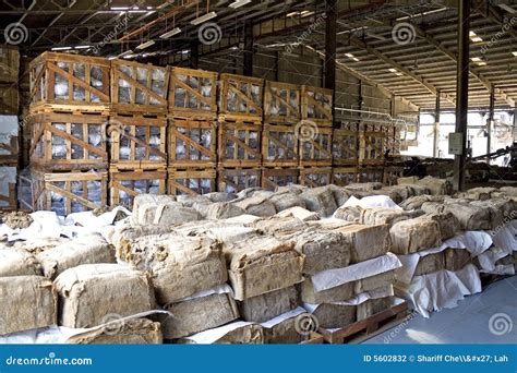 Rubber Bales In Warehouse Stock Photography Image 5602832