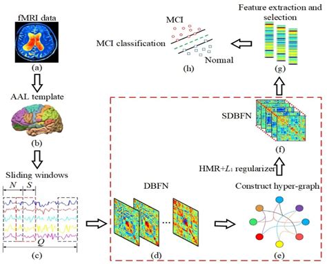 Frontiers Constructing Dynamic Brain Functional Networks Via Hyper