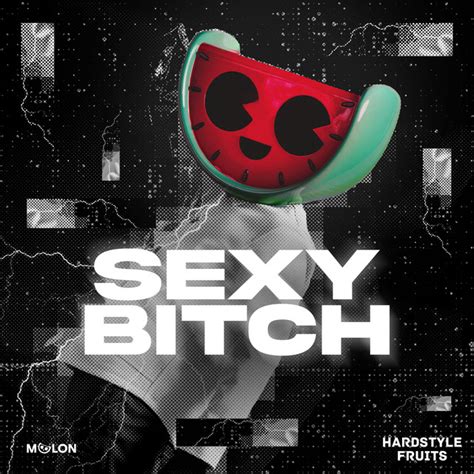 Sexy Bitch Song And Lyrics By Melon Hardstyle Fruits Music Spotify