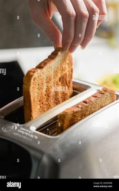 Toaster With Toasted Bread For Breakfast Inside The Female Hand Pulls