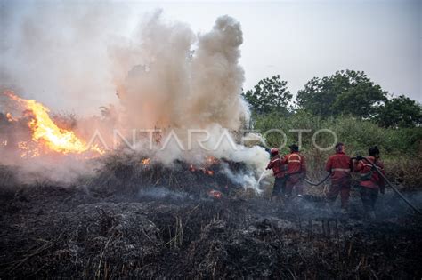 Pemadaman Kebakaran Lahan Di Desa Rambutan Antara Foto