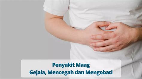 Penyakit Maag Gejala Mencegah Dan Mengobati