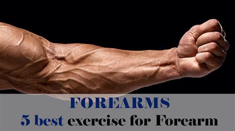 Big Forearm 5 Best Exercise For Forearms