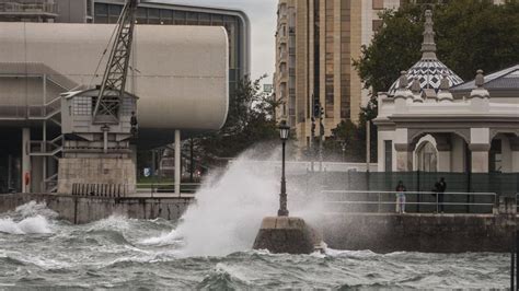 V Deos Los Efectos De Kirk Rboles Ca Dos Inundaciones Y