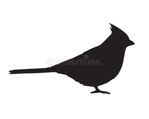 Cardinal Bird Silhouette SVG