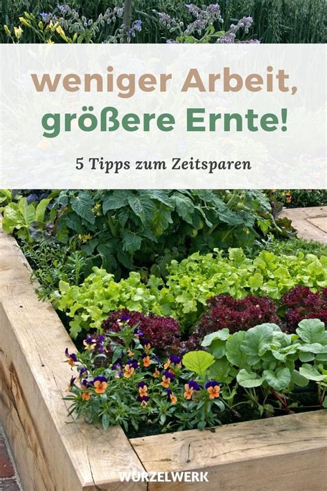 Keine Zeit kein Problem 5 Tipps für einen pflegeleichten Gemüsegarten