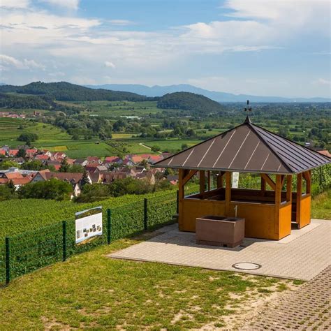 Burkheimer Winzer Am Kaiserstuhl Eg Winetourism