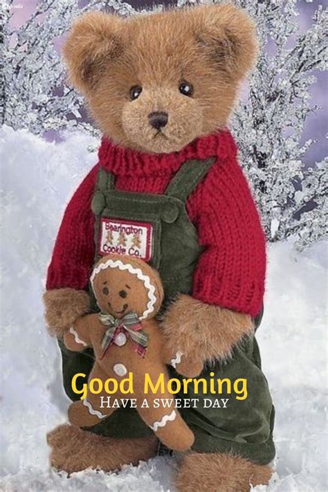 150 Lovely Good Morning Teddy Bear Images GO India Teddy Bear