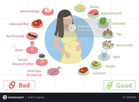 Best Nutrition During Pregnancy Illustration Download In Png And Vector