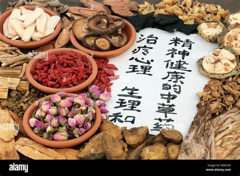 Las Hierbas Chinas Utilizadas En La Medicina Herbaria Alternativo Con