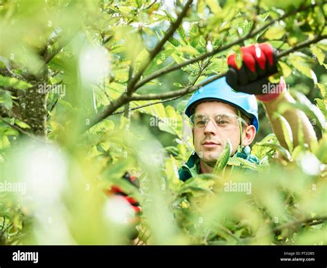 Timber Cutter Hi Res Stock Photography And Images Alamy