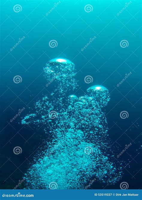 Bubbles From A Scuba Diver Stock Image Image Of Diver 53519337