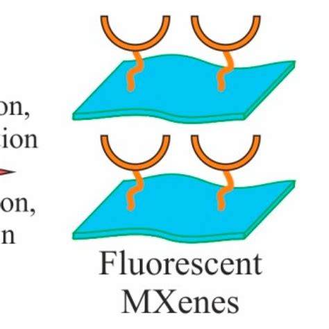 Schematic Representation For The Preparation Of Fluorescent Mxene