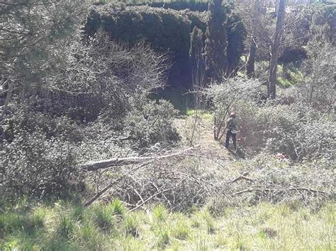 Medio Ambiente De Torrelodones Comienza Una Campa A Para Limpiar Las