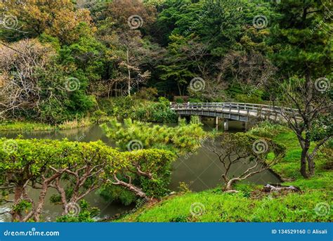 Sankeien Garden With Trees Bridge And Pond In Yokohama Stock Photo