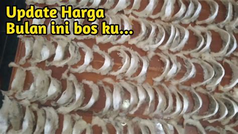 Update Harga Sarang Burung Walet Bulan Mei Harga Terbaru Bulan