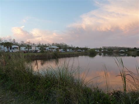 Mundays The Arizona Roadrunners Midway Campground Big Cypress Swamp Fl