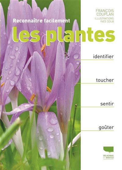 Reconna Tre Facilement Les Plantes Identifier Toucher Sentir