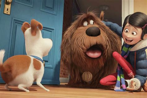 Katie The Secret Life Of Pets Wallpapers Wallpaper Cave