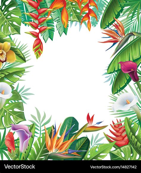 Tropical Plants And Flowers Royalty Free Vector Image