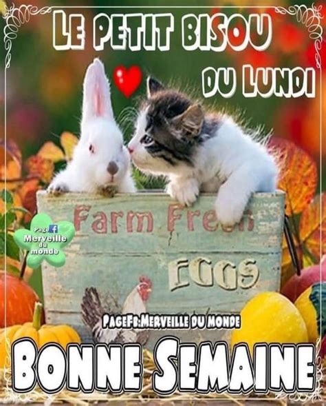 Pingl Par Jbc Jenny Sur Bonne Semaine En Bonjour Bon Lundi