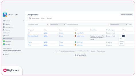 Jira Components How BigPicture Handles Them BigPicture One