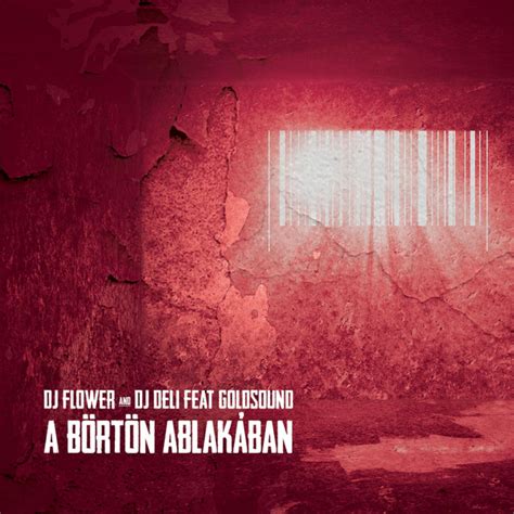 A Börtön Ablakában Single By Dj Flower Spotify