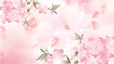 Cherry Blossom Spring Pink Petals Background Cherry Blossoms Spring