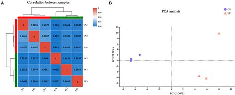 Frontiers Transcriptome Analysis Identifies Strategies Targeting Immune Response Related