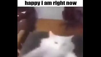 El Vicioso Ciclo De Gatos Xvideos