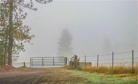 Fog Gate Landscape And Rural Photos Don Slackwater