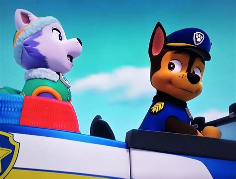 Chase And Everest Paw Patrol Relation Ship Wiki Fandom