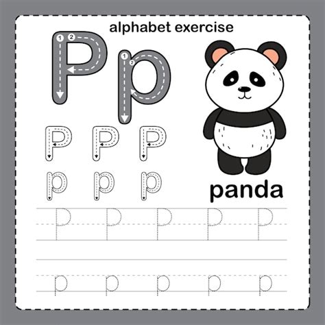 Alfabeto Letra P Panda Ejercicio Con Vector De Ilustraci N De