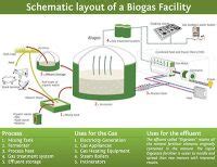 Biogas Production Organic Waste To Energy Envitech International