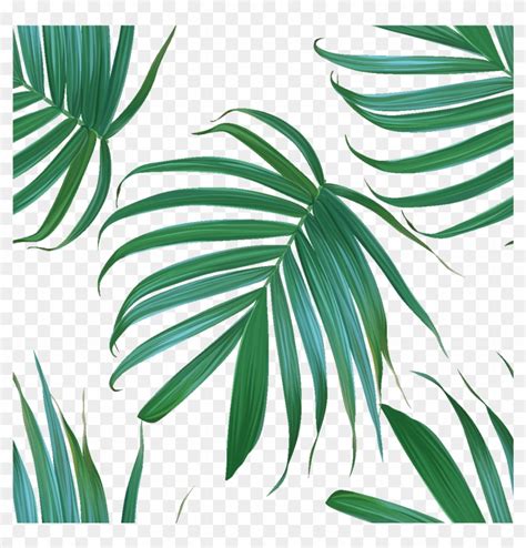 Sticker Tapisserie Tropicale Feuilles De Palmiers Ambiance Palm