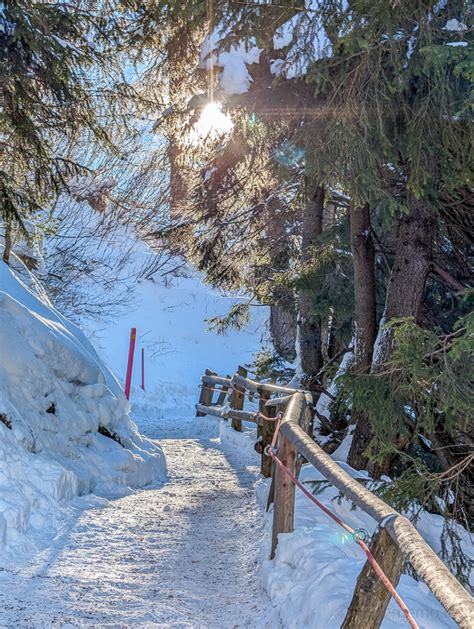 Winterwanderung Von Sils Maria Ins Val Fex Im Engadin