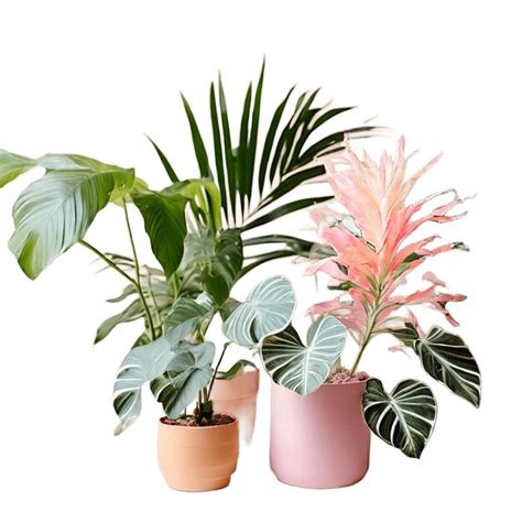Pastel Tone Plants Premium Ai Generated Image