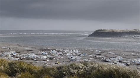 Dansk Professor Forbl Ffes Over Sejlivede Myter Om Plastik I Havet