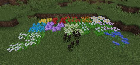 Flower Patch Gallery