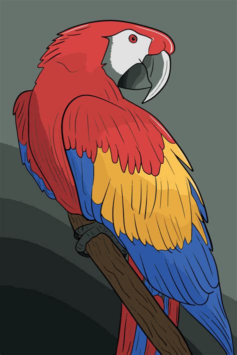 Ilustración De Guacamaya Roja 12700270 Vector En Vecteezy