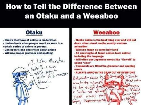 Apa Perbedaan Otaku Dan Wibu Versus Beda