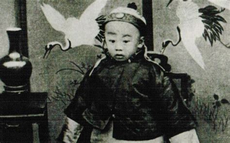 Author unravels mystery of plot that toppled China's last emperor