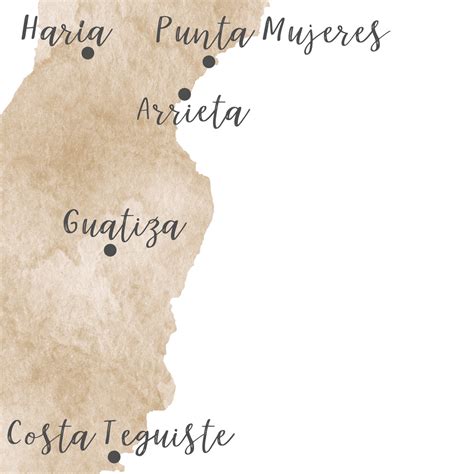 lanzarote map canary islands map watercolor map brown digital pr