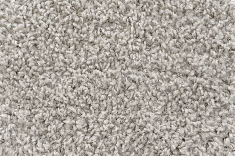 White Shag carpet texture stock photo. Image of design - 645972