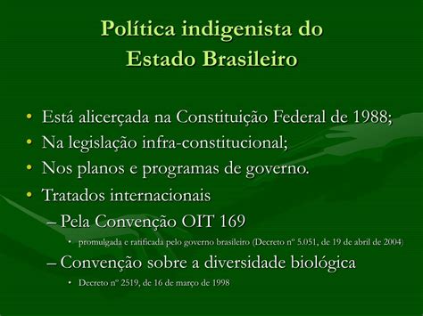 Ppt Elementos Para Um Plano De Carreira Indigenista Powerpoint