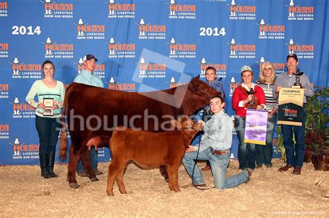 Houston Livestock Show – Junior Red Angus | The Pulse