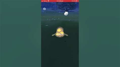 Shiny Stunfisk Pokemon Go Youtube