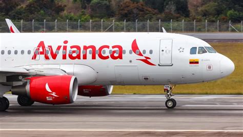 Avianca Inaugura Nueva Ruta Entre Medellín Y Punta Cana Acento