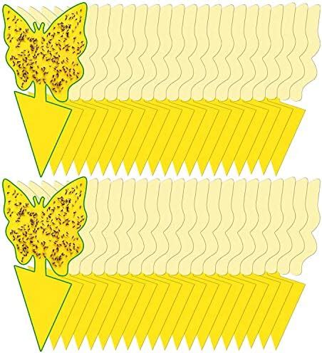 40 Pack Fungus Gnat Traps for House Indoor Yellow Sticky Traps for Gnats Sticky Traps for Plants ...